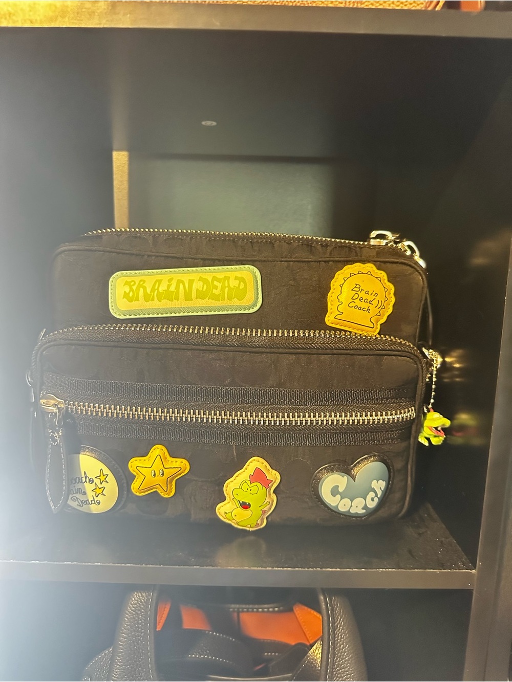 Coach Brain Dead Dakota Bag